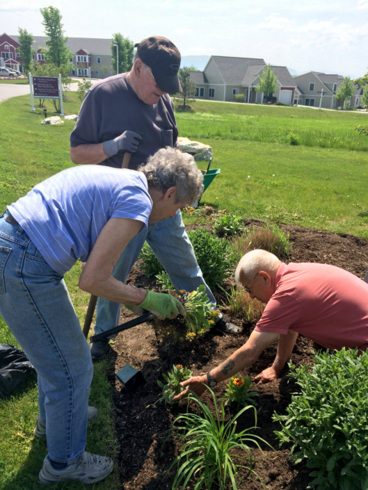 Landscape Committee